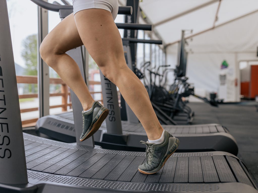 Best Curved Treadmills In India